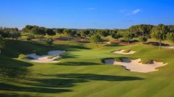 Lợi thế vị trí, hạ tầng của Vinhomes Green Paradise