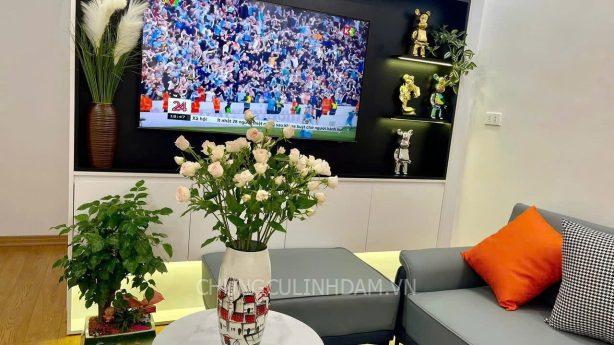 Căn hộ Tầng cao - KĐT Bắc Linh Đàm