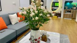 Căn hộ Tầng cao - KĐT Bắc Linh Đàm