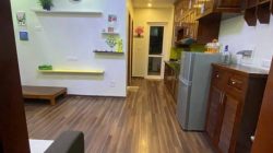 Căn hộ Tầng cao – KĐT Kim Văn Kim Lũ