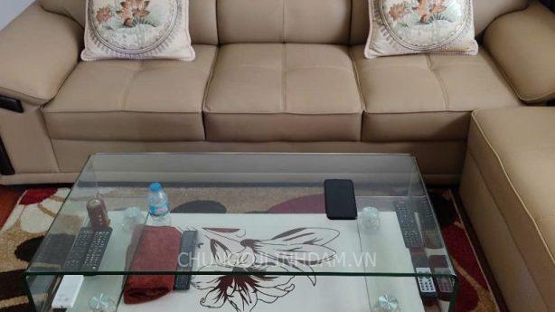 Căn hộ Tầng cao - KĐT Tây Nam Linh Đàm