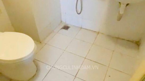 Căn hộ Tầng thấp – HH Linh Đàm