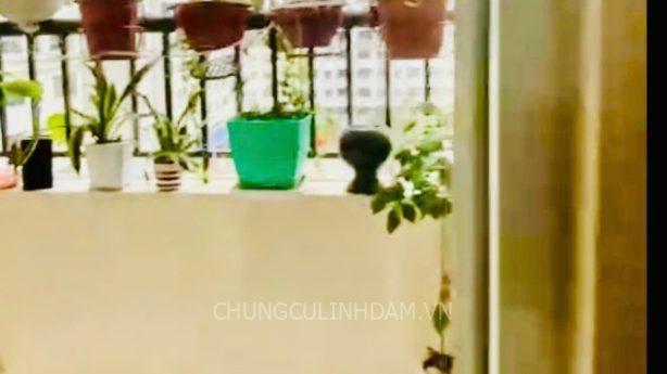 Căn hộ Tầng thấp – HH Linh Đàm