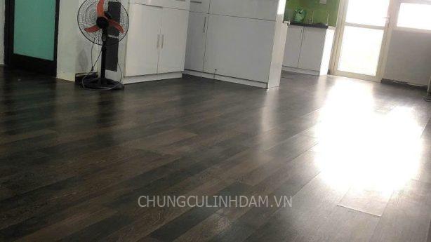 Căn hộ Tầng thấp – HH Linh Đàm