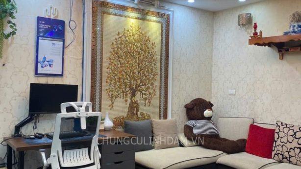 Căn hộ Tầng thấp – HH Linh Đàm